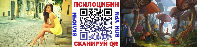 Купить закладки  Мичуринск  Галлюциногенные грибы мухоморы 
