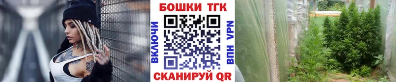 Купить закладки  Мичуринск  Бошки Шишки THC 21% 